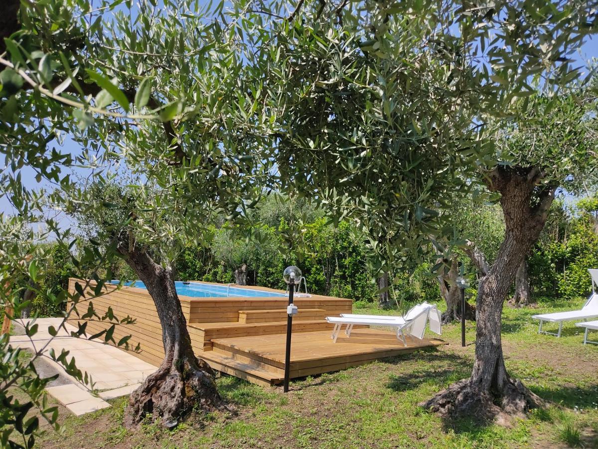 La Tana Del Geco Βίλα Massarosa Εξωτερικό φωτογραφία